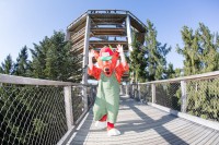 /album/fotogalerie-stezka-korunami-stromu-lipno/stezka-korunami-stromu2236-jpg/